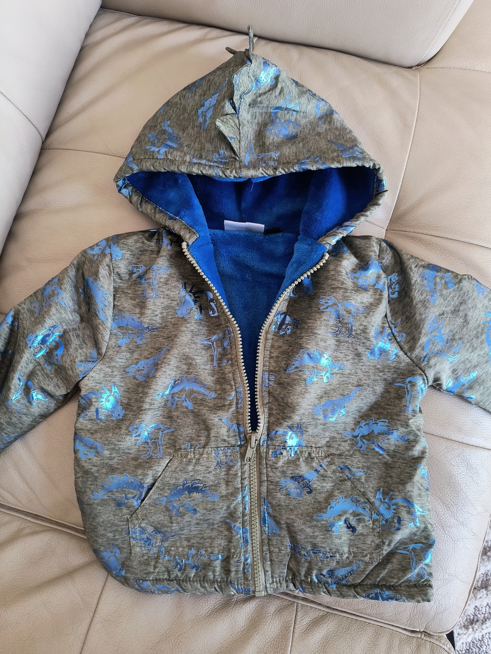 Kids Hooded Zip-Up Sweatshirt with Blue Dinosaur Print